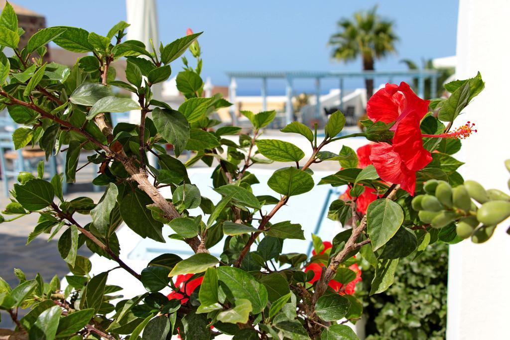 Aethrio Sunset Village - Oia Екстериор снимка