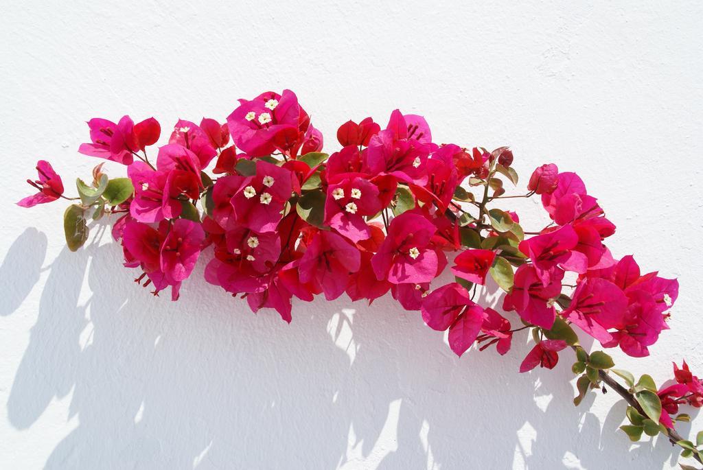 Aethrio Sunset Village - Oia Екстериор снимка